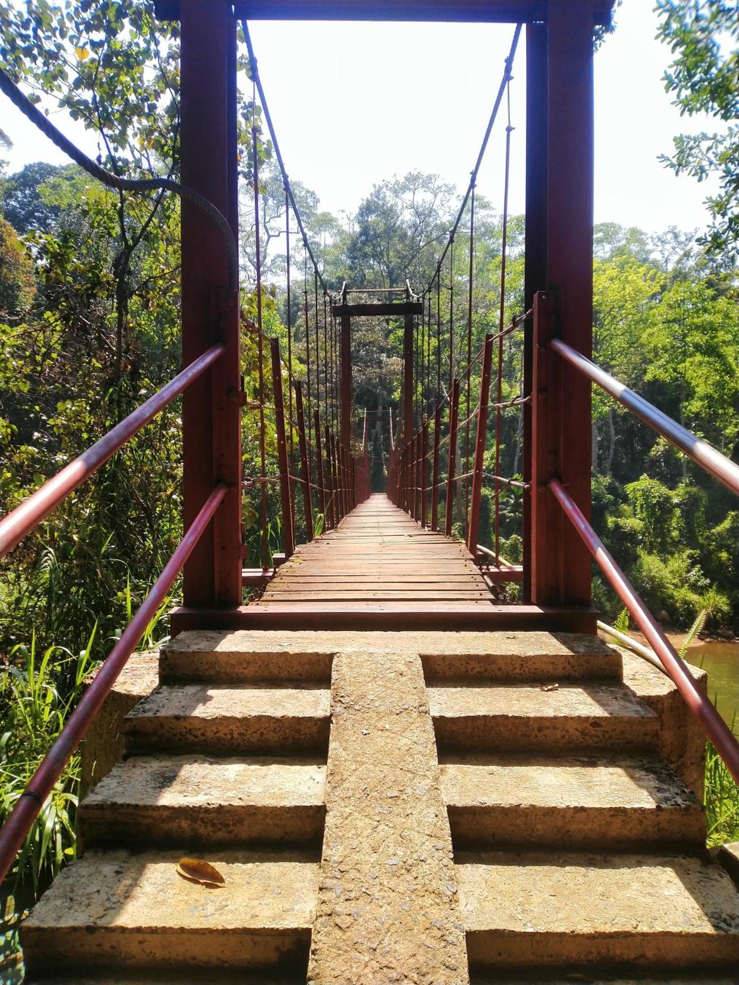Sinharaja Riverside Deniyaya Ngoại thất bức ảnh